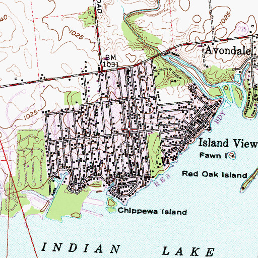 Topographic Map of Chippewa Park Census Designated Place, OH