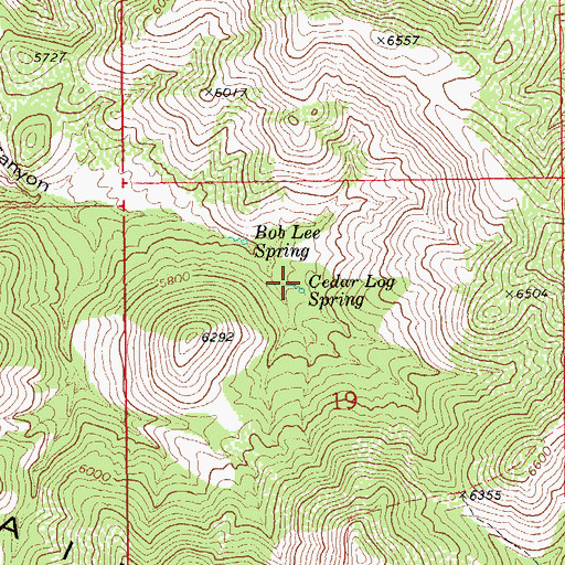 Topographic Map of Cedar Log Spring, AZ