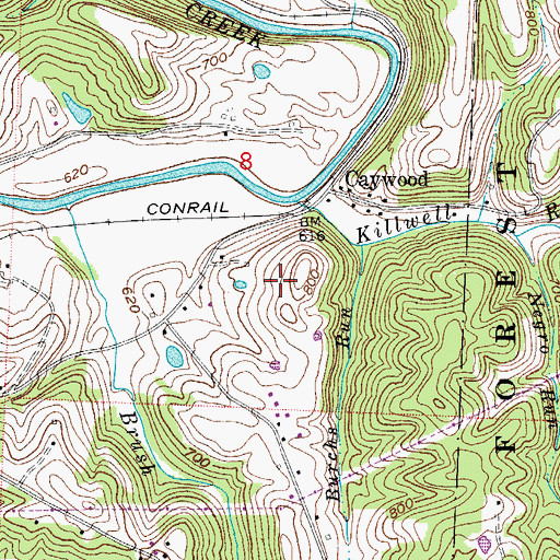 Topographic Map of Caywood Christmas Tree Farms, OH
