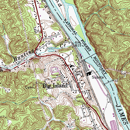 Topographic Map of Big Island Census Designated Place, VA