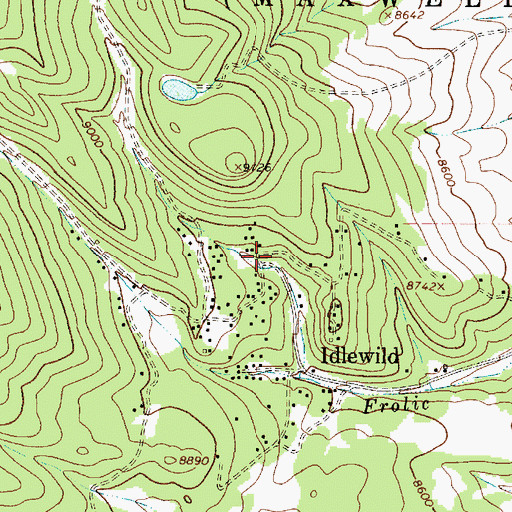 Topographic Map of Idlewild Census Designated Place, NM
