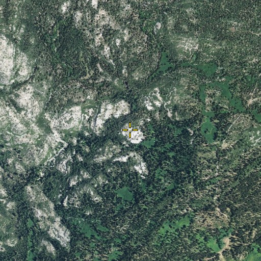 Aerial/Satellite Image of Loon Lake Trail, CA