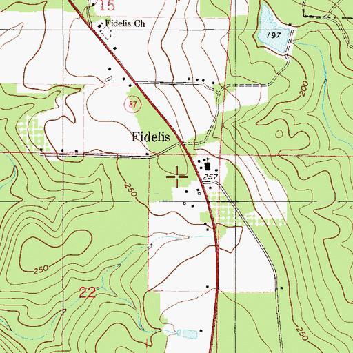 Topographic Map of Fidelis Census Designated Place, FL