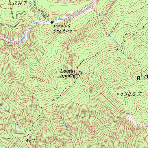 Topographic Map of Lousy Spring, CA
