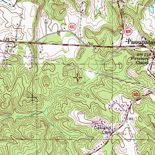 Topographic Map of Passapatanzy Census Designated Place, VA