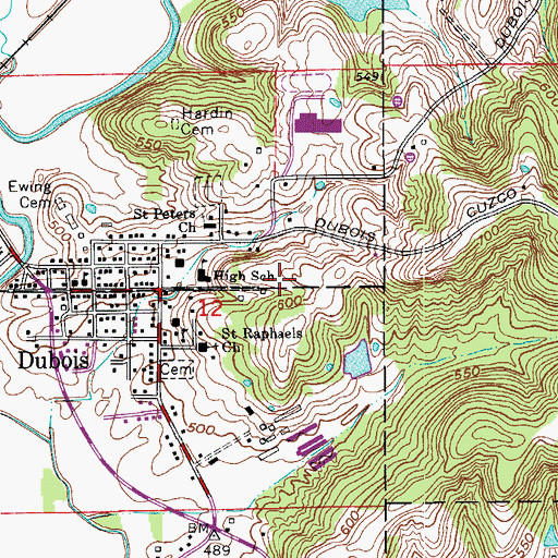Topographic Map of Dubois Census Designated Place, IN