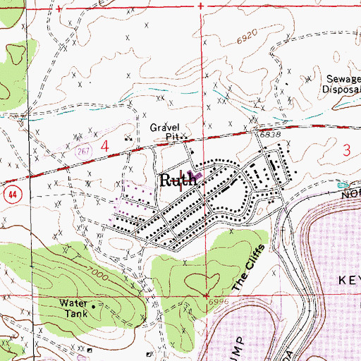 Topographic Map of Ruth Census Designated Place, NV