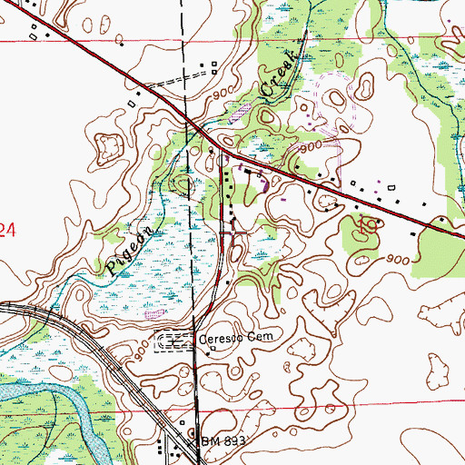 Topographic Map of Ceresco Baptist Church, MI