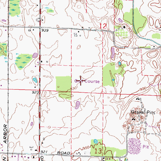 Topographic Map of Dama Farms Golf Course, MI