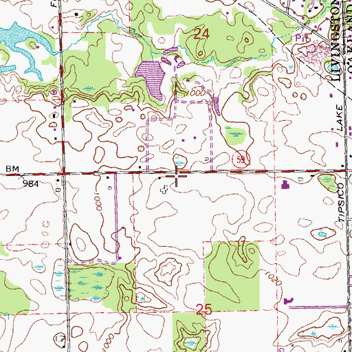 Topographic Map of Hartland Meadows Mobile Home Park, MI