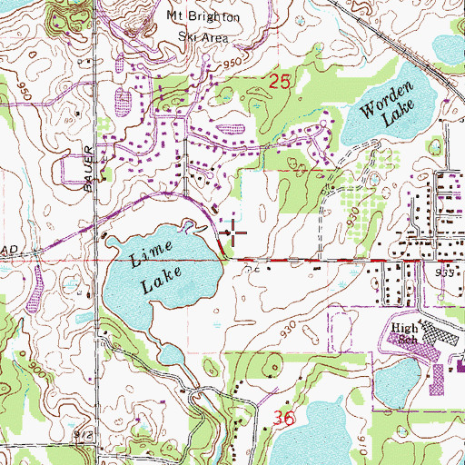 Topographic Map of Brighton Wesleyan Church, MI