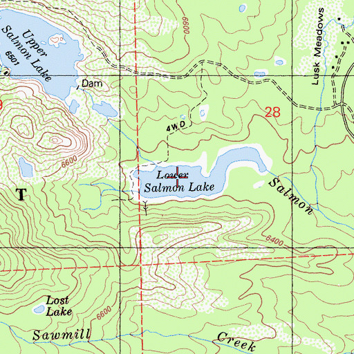 Topographic Map of Lower Salmon Lake, CA