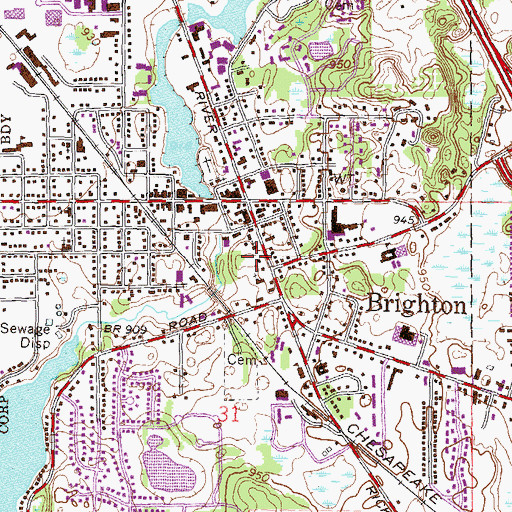 Topographic Map of Brighton Family Physicians, MI