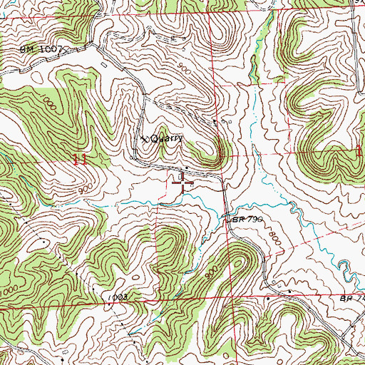 Topographic Map of Green Valley Farm, IL