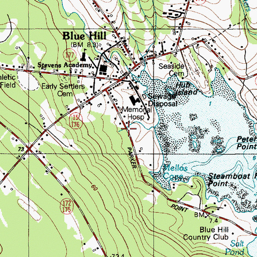 Topographic Map of Blue Hill Census Designated Place, ME