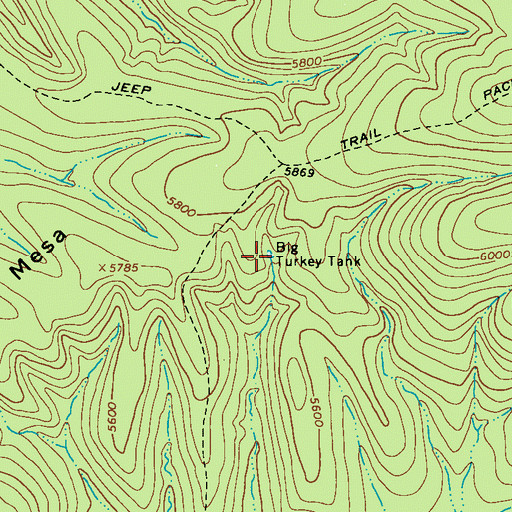 Topographic Map of Big Turkey Tank, AZ