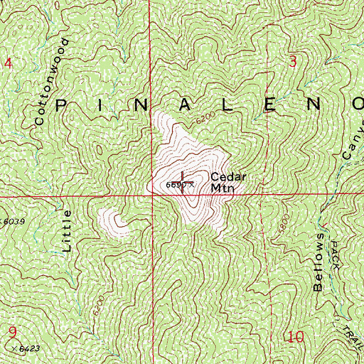 Topographic Map of Cedar Mountain, AZ