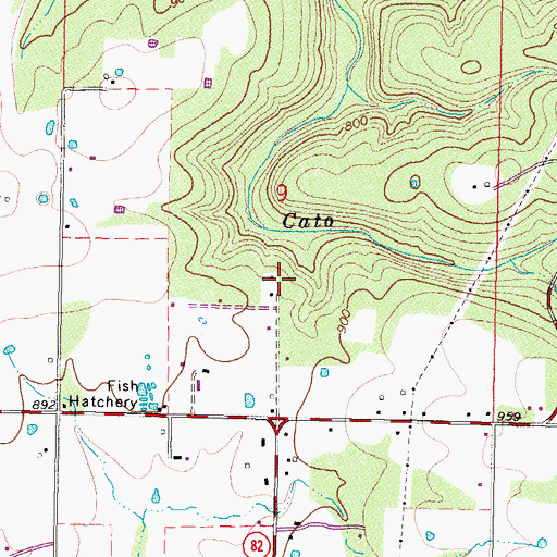 Topographic Map of Blackgum, OK