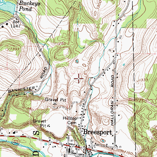 Topographic Map of Breesport Census Designated Place, NY