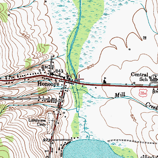 Topographic Map of Honeoye Census Designated Place, NY