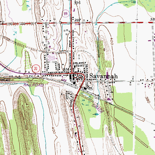 Topographic Map of Savannah Census Designated Place, NY