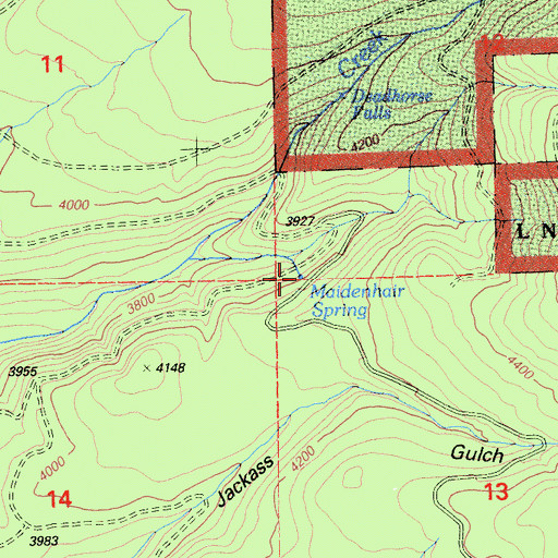 Topographic Map of Maidenhair Spring, CA
