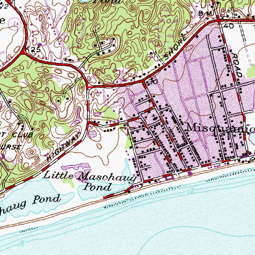 Topographic Map of Misquamicut Census Designated Place, RI