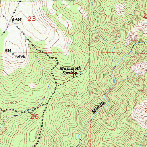 Topographic Map of Mammoth Spring, CA