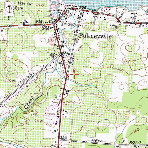 Topographic Map of Pultneyville Census Designated Place, NY