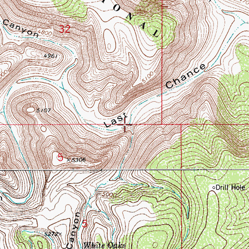 Topographic Map of Natural Bridge, NM