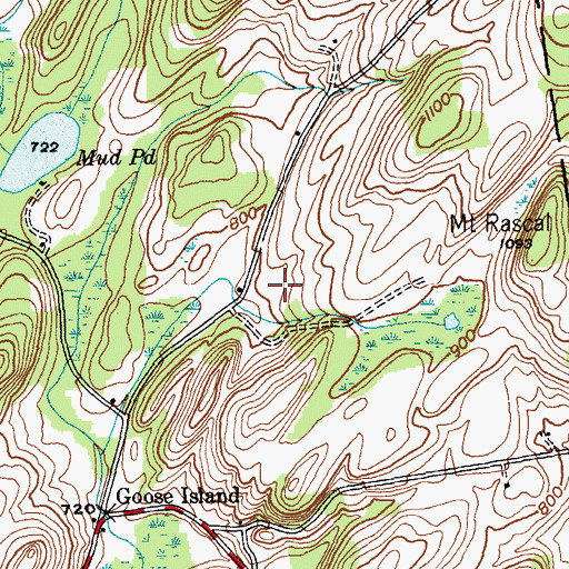 Topographic Map of Goose Island Farm, NY