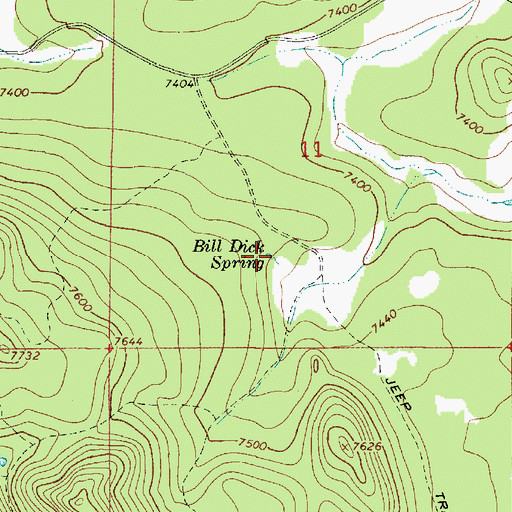 Topographic Map of Bill Dick Spring, AZ