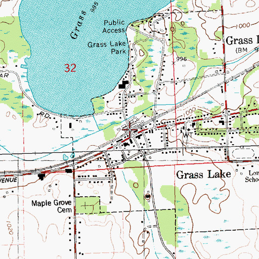 Topographic Map of Grass Lake Station (historical), MI
