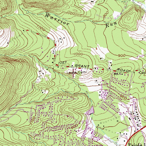 Topographic Map of Cresaptown Census Designated Place, MD