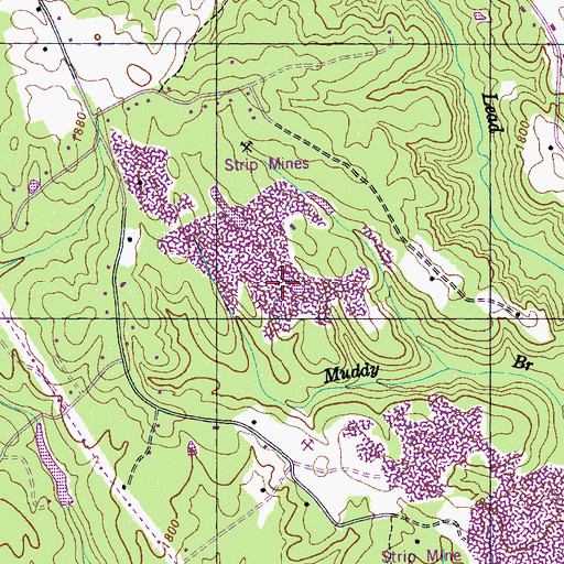Topographic Map of Turner Brothers Quarry, TN