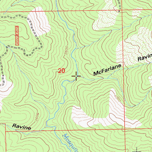 Topographic Map of McFarlane Ravine, CA