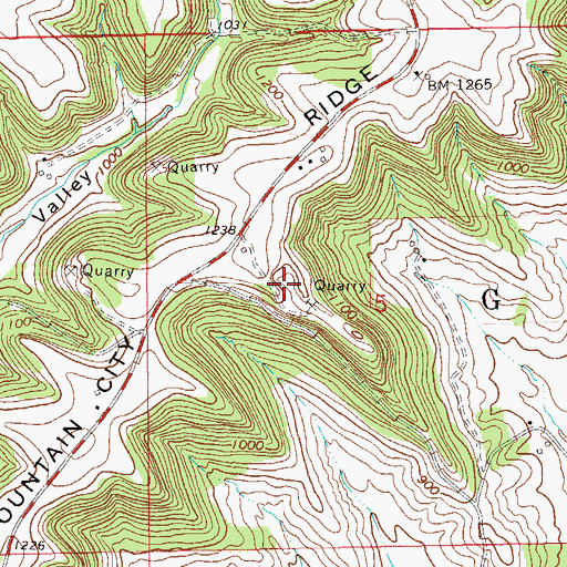 Topographic Map of Feltes Quarry, WI