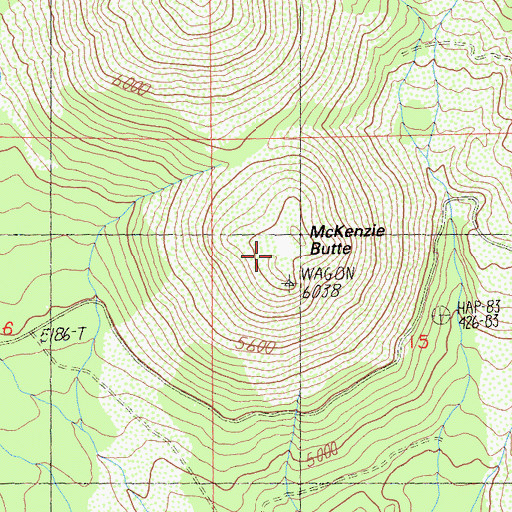 Topographic Map of McKenzie Butte, CA