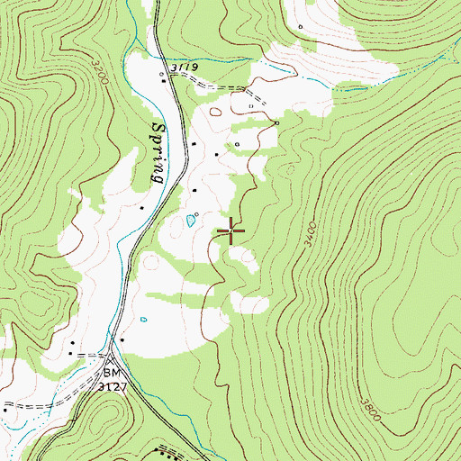 Topographic Map of Raven Golf Club at Snowshoe Mountain, WV