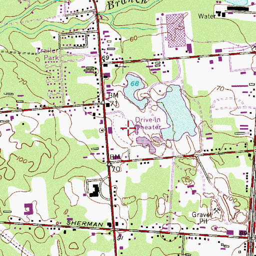 Topographic Map of Delsea Drive-In, NJ