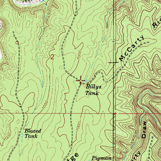 Topographic Map of Billys Tank, AZ