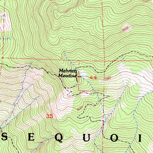 Topographic Map of Mehrten Meadow, CA
