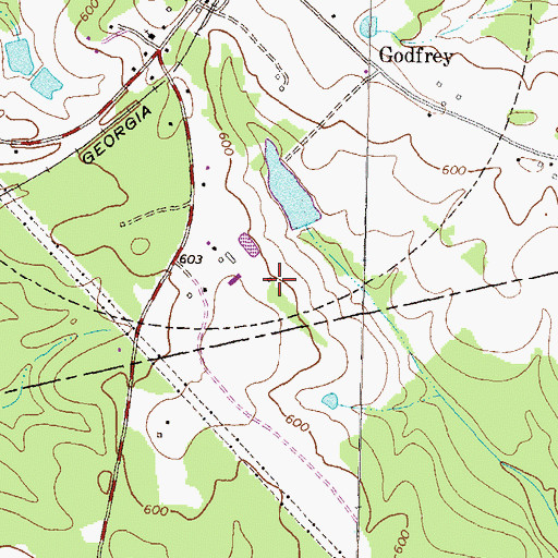 Topographic Map of Godfrey Dairy Farm, GA