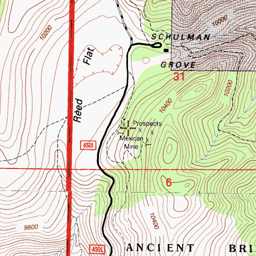 Topographic Map of Mexican Mine, CA