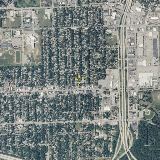 Aerial/Satellite Image of Foster Library, MI