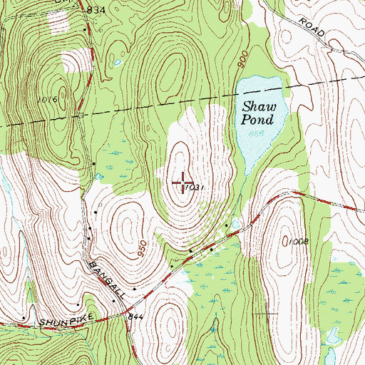 Topographic Map of Starview Farm, NY