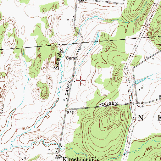 Topographic Map of Moser Farm, NY