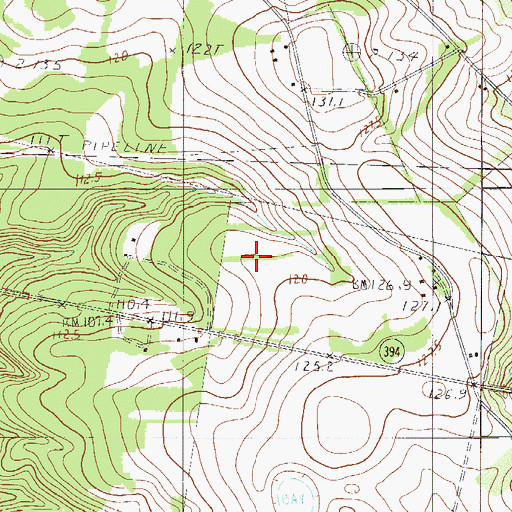 Topographic Map of Trinity Poultry Farm, SC