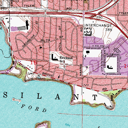 Topographic Map of Nancy Park, MI
