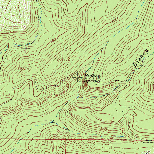 Topographic Map of Bishop Spring, AZ